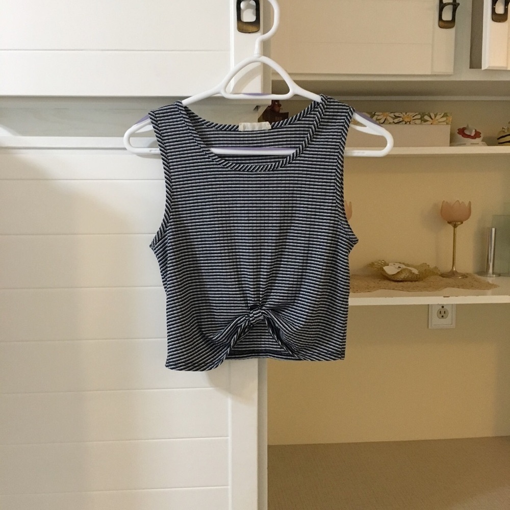 Striped Blue Crop Top